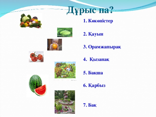 Дұрыс па? 1. Көкөністер  2. Қауын  3. Орамжапырақ  4. Қызанақ  5. Бақша  6. Қарбыз   7. Бақ