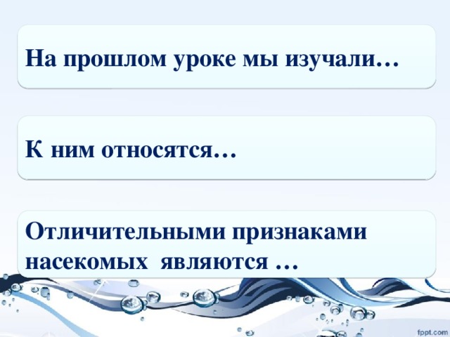 На прошлом уроке мы изучали… К ним относятся… Отличительными признаками насекомых являются …