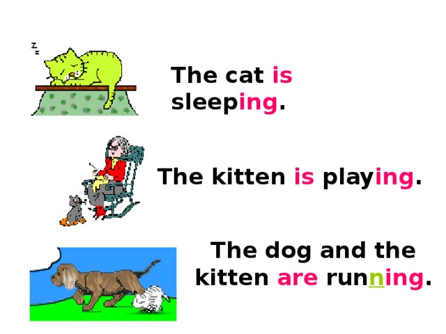 The cat is sleep ing . The kitten is play ing . The dog and the kitten are run n ing .