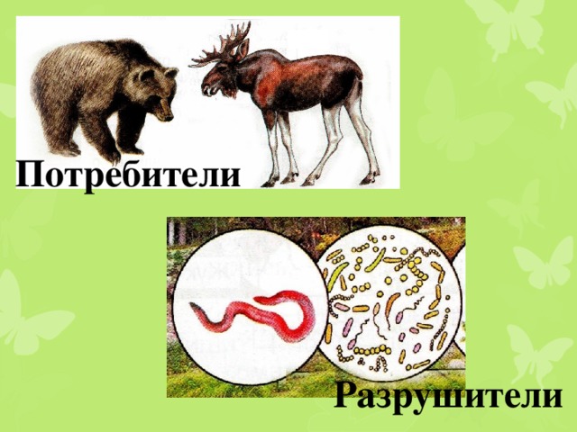 Потребители Разрушители