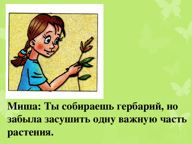 Миша: Ты собираешь гербарий, но забыла засушить одну важную часть растения.