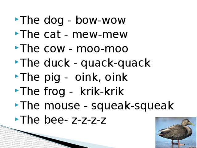 The dog - bow-wow The cat - mew-mew The cow - moo-moo The duck - quack-quack The pig - oink, oink The frog - krik-krik The mouse - squeak-squeak The bee- z-z-z-z