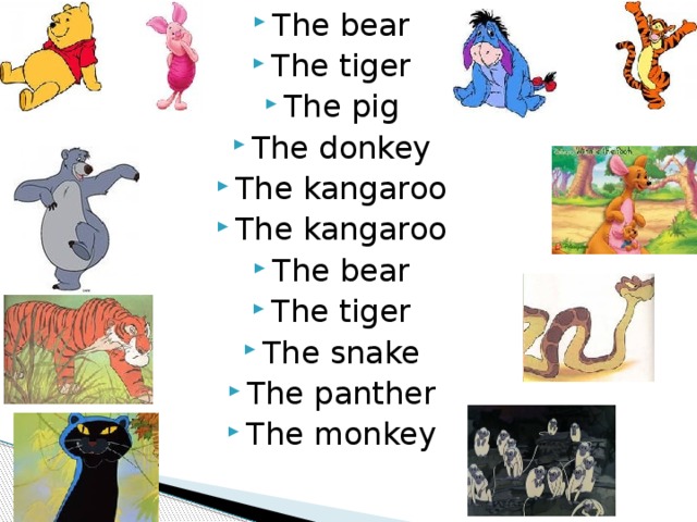 The bear The tiger The pig The donkey The kangaroo The kangaroo The bear The tiger The snake The panther The monkey