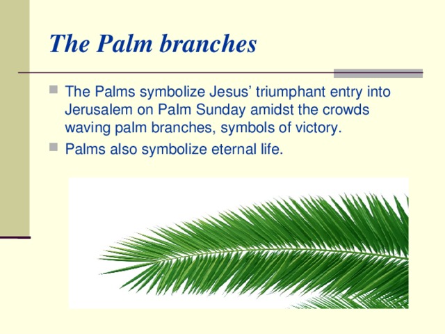 The Palm branches