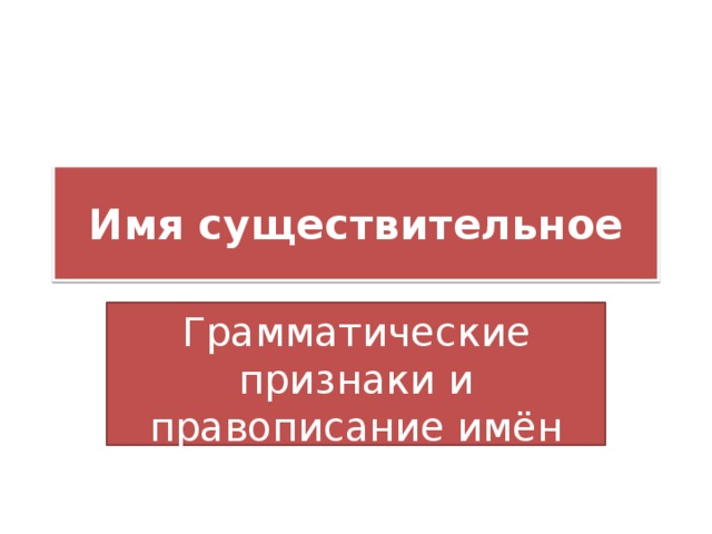 Имя существительное Грамматические признаки и правописание имён существительных