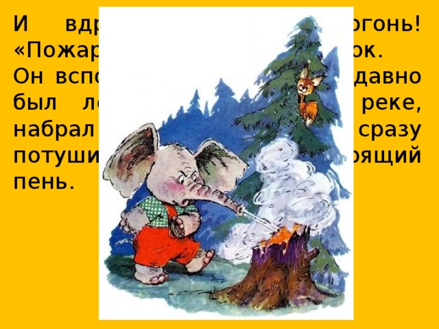 И вдруг он увидел огонь! «Пожар!» — подумал слонёнок. Он вспомнил, как совсем недавно был лейкой, побежал к реке, набрал побольше воды и сразу потушил три уголька и горящий пень.