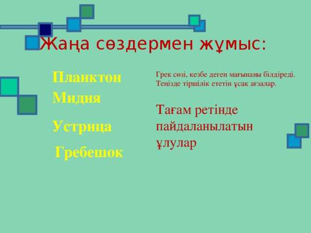 Жаңа сөздермен жұмыс : Планктон Грек сөзі, кезбе деген мағынаны білдіреді. Теңізде тіршілік ететін ұсақ ағзалар. Мидия Тағам ретінде пайдаланылатын ұлулар Устрица Гребешок