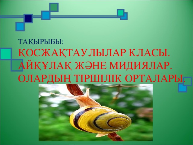 ТА ҚЫРЫБЫ : ҚОСЖАҚТАУЛЫЛАР КЛАСЫ. АЙҚҰЛАҚ ЖӘНЕ МИДИЯЛАР. ОЛАРДЫҢ ТІРШІЛІК ОРТАЛАРЫ.