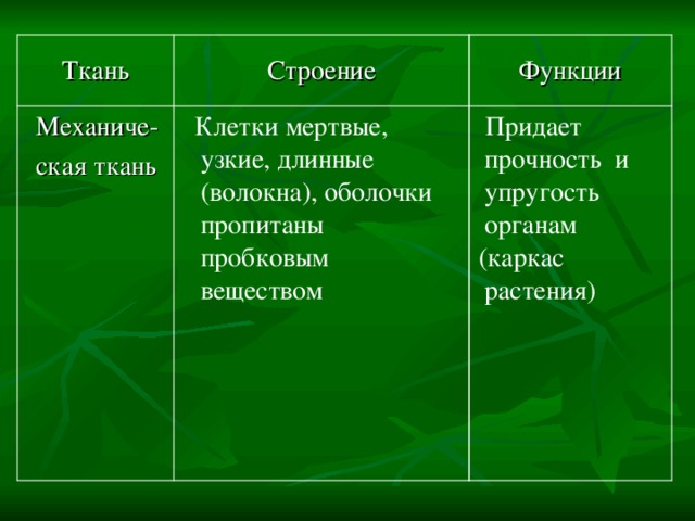 Функции Строение Ткань  Придает прочность и упругость органам  (каркас растения)  Клетки мертвые, узкие, длинные (волокна), оболочки пропитаны пробковым веществом Механиче- ская ткань