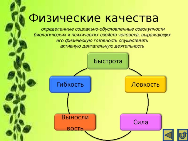 Физические качества  определенные социально-обусловленные совокупности биологических и психических свойств человека, выражающих его физическую готовность осуществлять активную двигательную деятельность