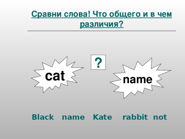 Сравни слова! Что общего и в чем различия? Black name Kate rabbit not ? с at name