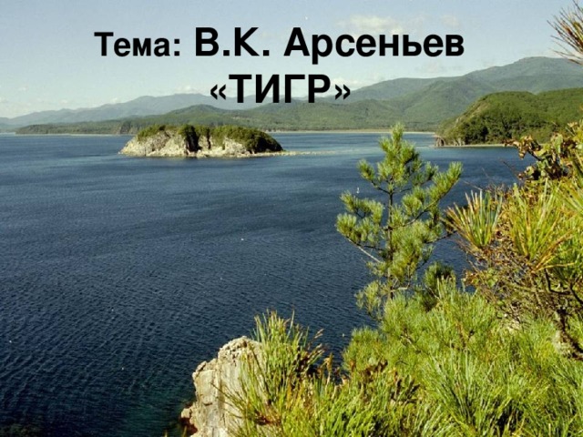 Тема: В.К. Арсеньев «ТИГР»