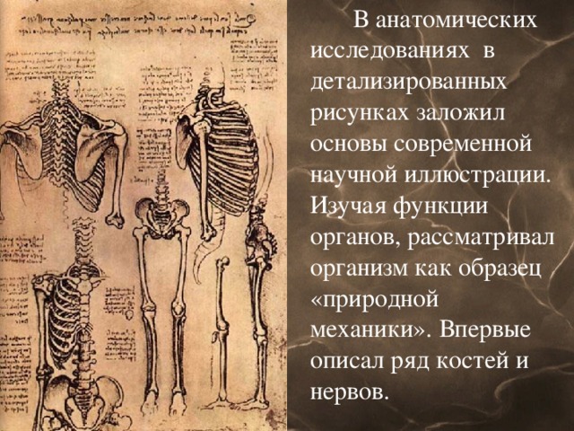 В анатомических исследованиях в детализированных рисунках заложил основы современной научной иллюстрации. Изучая функции органов, рассматривал организм как образец «природной механики». Впервые описал ряд костей и нервов.