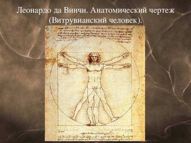 Леонардо да Винчи. Анатомический чертеж (Витрувианский человек).