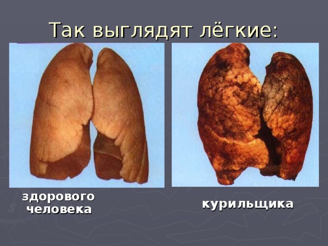 здорового человека  курильщика