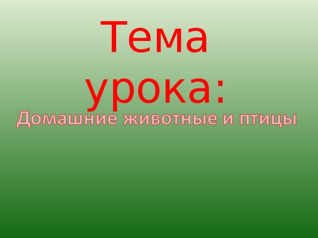 Тема урока :