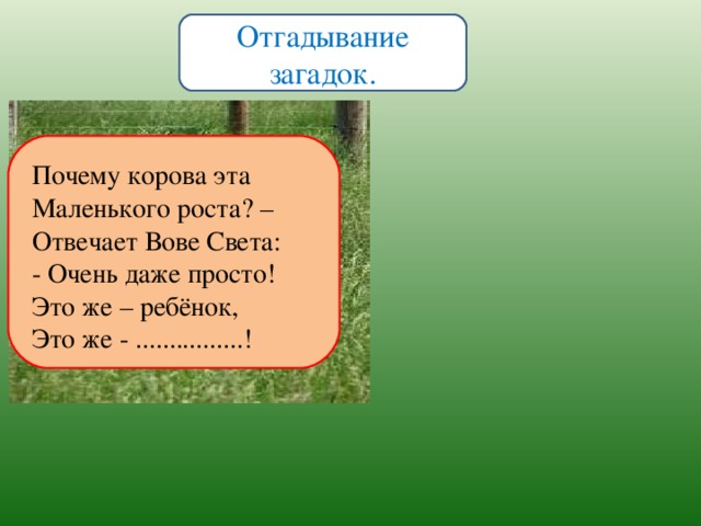 Отгадывание загадок. Почему корова эта Маленького роста? – Отвечает Вове Света : - Очень даже просто! Это же – реб ё нок, Это же - ................!