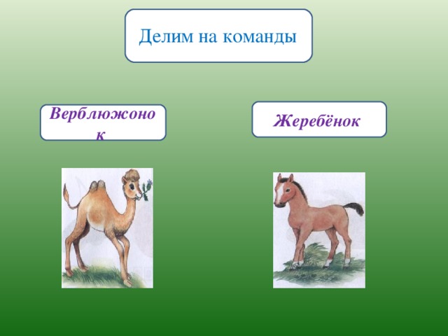 Презентация домашние животные 4 класс мир природы и человека