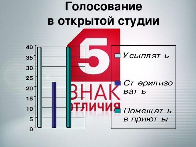 Голосование  в открытой студии