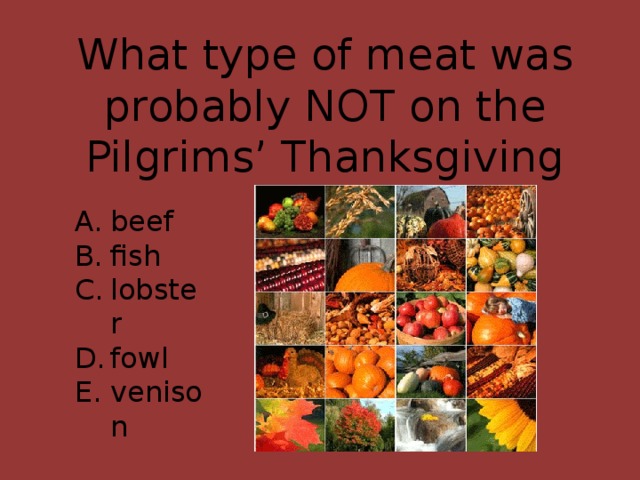 What type of meat was probably NOT on the Pilgrims’ Thanksgiving menu?