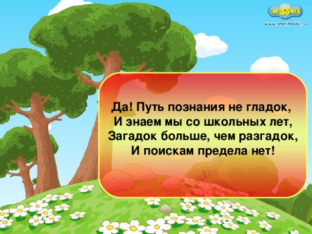 Да! Путь познания не гладок, И знаем мы со школьных лет, Загадок больше, чем разгадок, И поискам предела нет!  оглавление