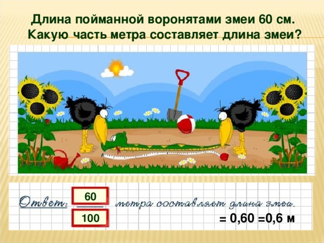 = 0,60 =0,6 м Длина пойманной воронятами змеи 60 см.  Какую часть метра составляет длина змеи? 60 100