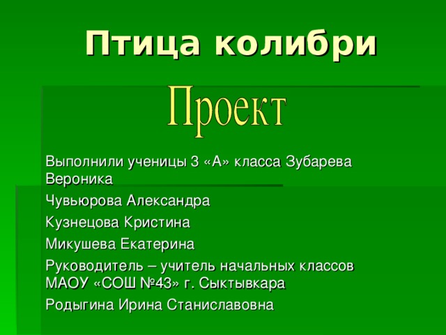 Птица колибри Выполнили ученицы 3 «А» класса Зубарева Вероника Чувьюрова Александра Кузнецова Кристина Микушева Екатерина Руководитель – учитель начальных классов МАОУ «СОШ №43» г. Сыктывкара Родыгина Ирина Станиславовна