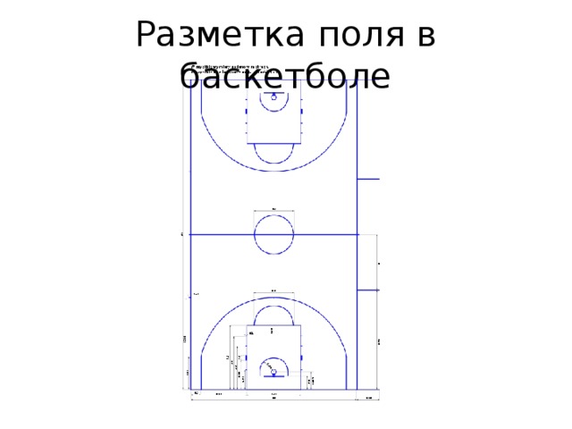 Разметка поля в баскетболе
