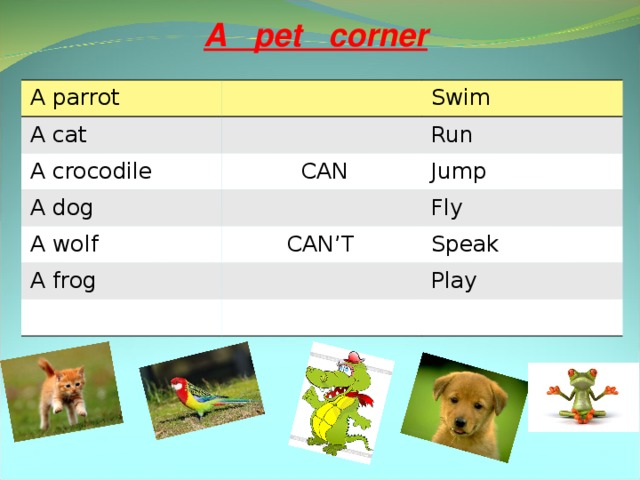 My dog can run and jump. A Dog can Run. A Frog can Jump. A Dog can 2 класс. A Dog can Swim.