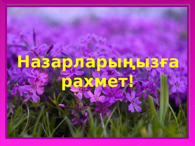 Назарларыңызға рахмет!