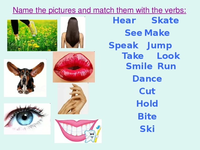 Name the pictures and match them with the verbs: Hear   Skate See   Make Speak  Jump  Take  Look Smile  Run Dance Cut Hold Bite Ski