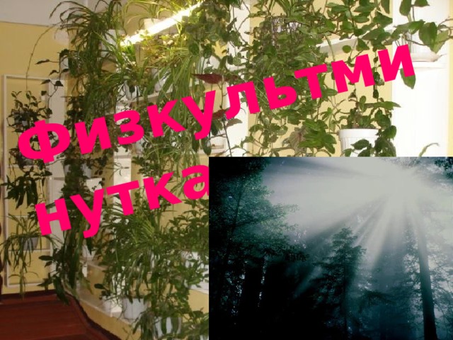 Физкультминутка