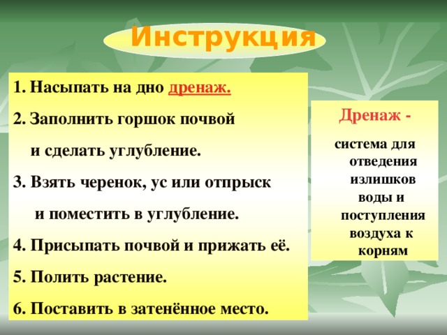 Инструкция Насыпать на дно дренаж.  Заполнить горшок почвой  и сделать углубление. 3. Взять черенок, ус или отпрыск  и поместить в углубление. 4. Присыпать почвой и прижать её. 5. Полить растение. 6. Поставить в затенённое место. Дренаж - система для отведения излишков воды и поступления воздуха к корням