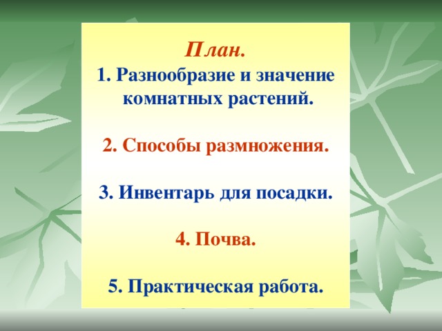 План. 1. Разнообразие и значение  комнатных растений.  2. Способы размножения.  3. Инвентарь для посадки.  4. Почва.  5. Практическая работа.