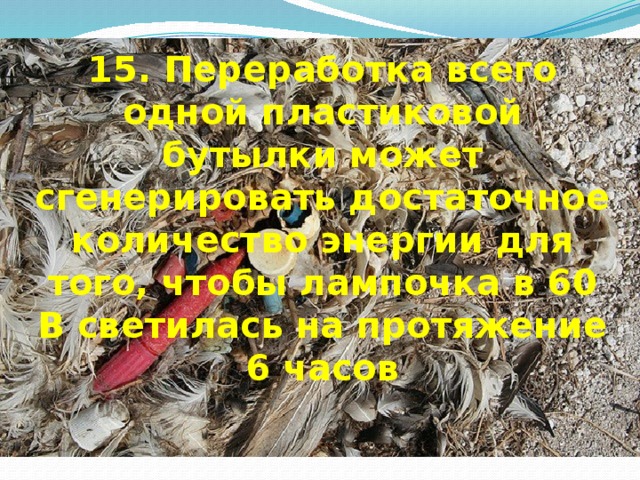 15. Переработка всего одной пластиковой бутылки может сгенерировать достаточное количество энергии для того, чтобы лампочка в 60 В светилась на протяжение 6 часов