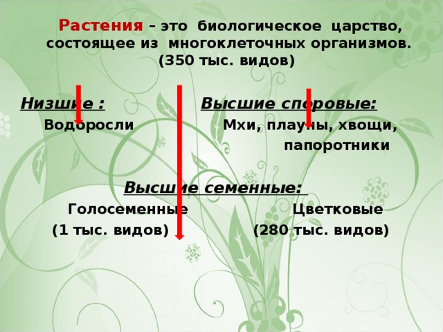 Растения – это биологическое царство, состоящее из многоклеточных организмов. (350 тыс. видов) Низшие :  Высшие споровые: Водоросли Мхи, плауны, хвощи,  папоротники Высшие семенные:   Голосеменные Цветковые (1 тыс. видов) (280 тыс. видов)