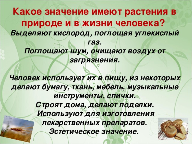 Какое значение имеют растения в природе и в жизни человека? Выделяют кислород, поглощая углекислый газ. Поглощают шум, очищают воздух от загрязнения.  Человек использует их в пищу, из некоторых делают бумагу, ткань, мебель, музыкальные инструменты, спички. Строят дома, делают поделки.  Используют для изготовления лекарственных препаратов. Эстетическое значение.