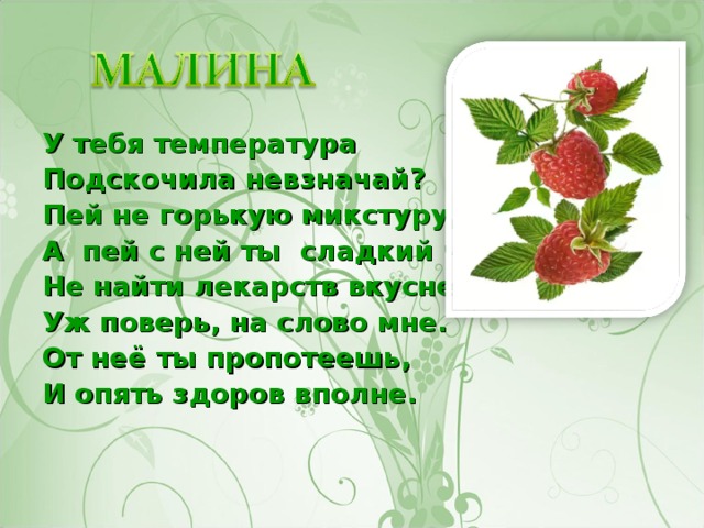 У тебя температура Подскочила невзначай? Пей не горькую микстуру, А пей с ней ты сладкий чай. Не найти лекарств вкуснее, Уж поверь, на слово мне. От неё ты пропотеешь, И опять здоров вполне.