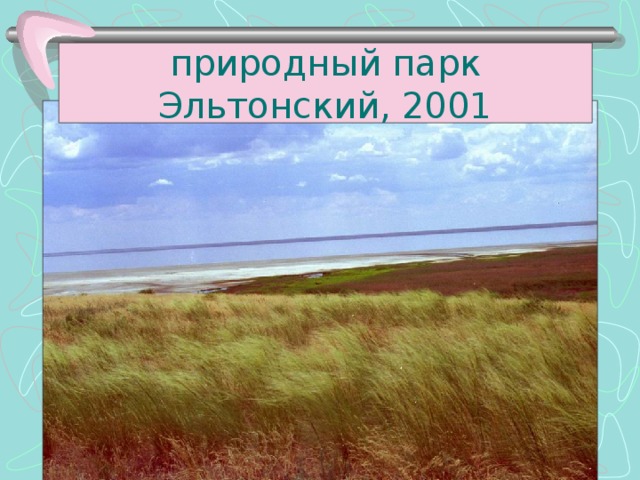 природный парк Эльтонский, 2001