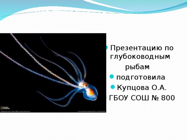 Презентацию по глубоководным рыбам подготовила Купцова О.А. ГБОУ СОШ № 800