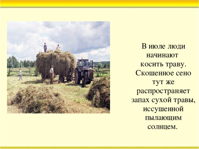 В июле люди начинают косить траву. Скошенное сено тут же распространяет запах сухой травы, иссушенной пылающим солнцем.  