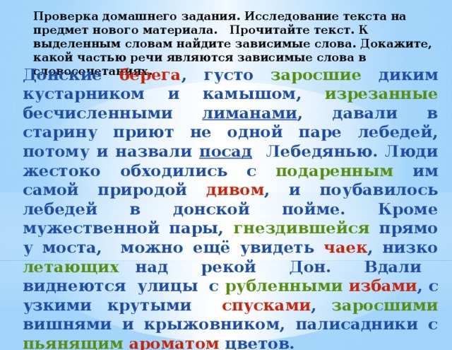 Проверка домашнего задания. Исследование текста на предмет нового материала. Прочитайте текст. К выделенным словам найдите зависимые слова. Докажите, какой частью речи являются зависимые слова в словосочетаниях.     Донские берега , густо заросшие диким кустарником и камышом, изрезанные бесчисленными лиманами , давали в старину приют не одной паре лебедей, потому и назвали посад Лебедянью. Люди жестоко обходились с подаренным им самой природой дивом , и поубавилось лебедей в донской пойме. Кроме мужественной пары, гнездившейся прямо у моста, можно ещё увидеть чаек , низко летающих над рекой Дон. Вдали виднеются улицы с рубленными избами , с узкими крутыми спусками , заросшими вишнями и крыжовником, палисадники с пьянящим  ароматом цветов.  (По Моложавенко)