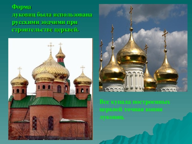 Форма  луковиц была использована  русскими зодчими при строительстве церквей. Все купала построенных церквей точная копия луковиц.