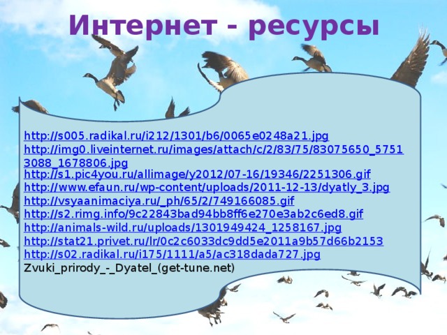 Интернет - ресурсы http://s005.radikal.ru/i212/1301/b6/0065e0248a21.jpg http://img0.liveinternet.ru/images/attach/c/2/83/75/83075650_57513088_1678806.jpg http://s1.pic4you.ru/allimage/y2012/07-16/19346/2251306.gif http://www.efaun.ru/wp-content/uploads/2011-12-13/dyatly_3.jpg http://vsyaanimaciya.ru/_ph/65/2/749166085.gif http://s2.rimg.info/9c22843bad94bb8ff6e270e3ab2c6ed8.gif http://animals-wild.ru/uploads/1301949424_1258167.jpg http://stat21.privet.ru/lr/0c2c6033dc9dd5e2011a9b57d66b2153 http://s02.radikal.ru/i175/1111/a5/ac318dada727.jpg Zvuki_prirody_-_Dyatel_(get-tune.net)