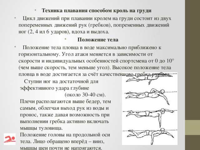 Техника плавания способом кроль на груди  Цикл движений при плавании кролем на груди состоит из двух попеременных движений рук (гребков), попременных движений ног (2, 4 ил 6 ударов), вдоха и выдоха.  Положение тела  Положение тела пловца в воде максимально приближено к горизонтальному. Угол атаки меняется в зависимости от скорости и индивидуальных особенностей спортсмена от 0 до 10° (чем выше скорость, тем меньше угол). Высокое положение тела пловца в воде достигается за счёт качественного гребка руками.