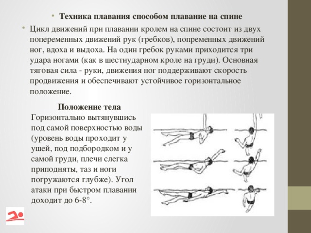 Техника плавания способом плавание на спине Цикл движений при плавании кролем на спине состоит из двух попеременных движений рук (гребков), попременных движений ног, вдоха и выдоха. На один гребок руками приходится три удара ногами (как в шестиударном кроле на груди). Основная тяговая сила - руки, движения ног поддерживают скорость продвижения и обеспечивают устойчивое горизонтальное положение.