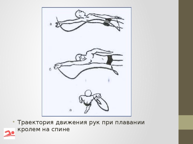 Траектория движения рук при плавании кролем на спине