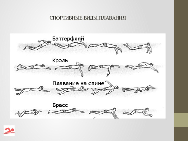 Стили плавания в картинках с названием