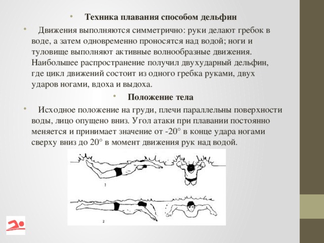 Техника плавания способом дельфин  Движения выполняются симметрично: руки делают гребок в воде, а затем одновременно проносятся над водой; ноги и туловище выполняют активные волнообразные движения. Наибольшее распространение получил двухударный дельфин, где цикл движений состоит из одного гребка руками, двух ударов ногами, вдоха и выдоха.  Положение тела  Исходное положение на груди, плечи параллельны поверхности воды, лицо опущено вниз. Угол атаки при плавании постоянно меняется и принимает значение от -20° в конце удара ногами сверху вниз до 20° в момент движения рук над водой.