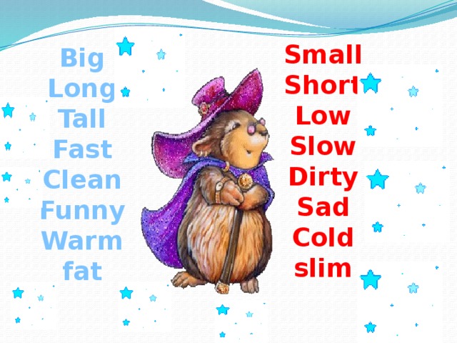 Small Short Low Slow Dirty Sad Cold slim Big Long Tall Fast Clean Funny Warm fat